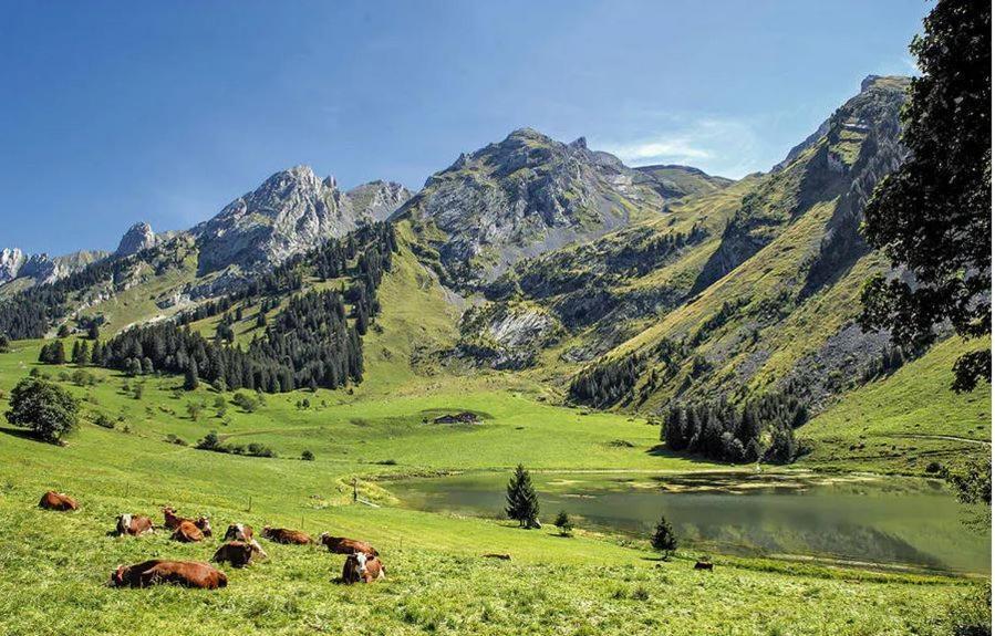 Hotel Les Aravis Saint-Jean-de-Sixt Exteriér fotografie