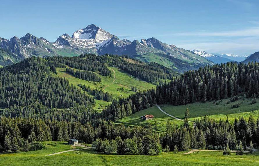 Hotel Les Aravis Saint-Jean-de-Sixt Exteriér fotografie